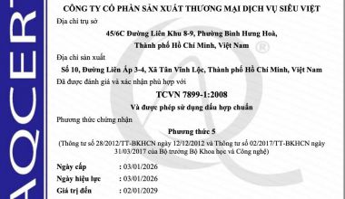 GIẤY CHỨNG NHẬN HỢP CHUẨN VỮA DÁN GẠCH
